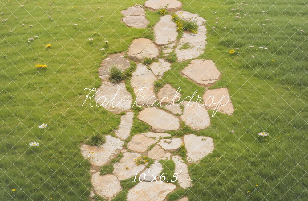 Kate Stone Path Meadow Floor Fleece Backdrop Designed by Emetselch - Image 2