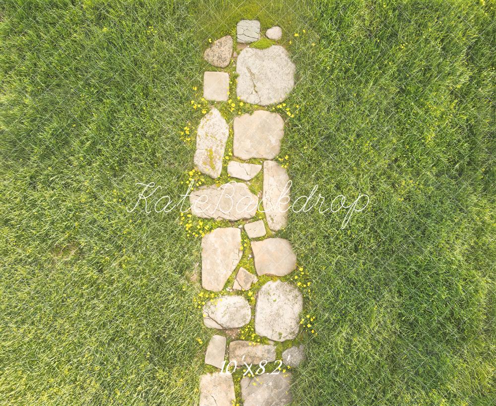 Kate Stone Pathway Aerial Grass Fleece Backdrop Designed by Kate image - Image 3
