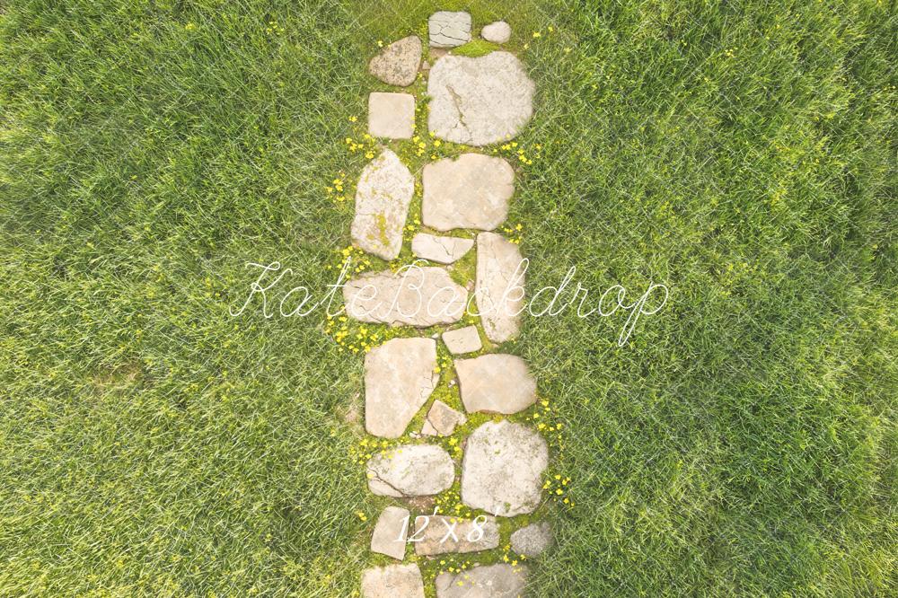Kate Stone Pathway Aerial Grass Fleece Backdrop Designed by Kate image - Image 4
