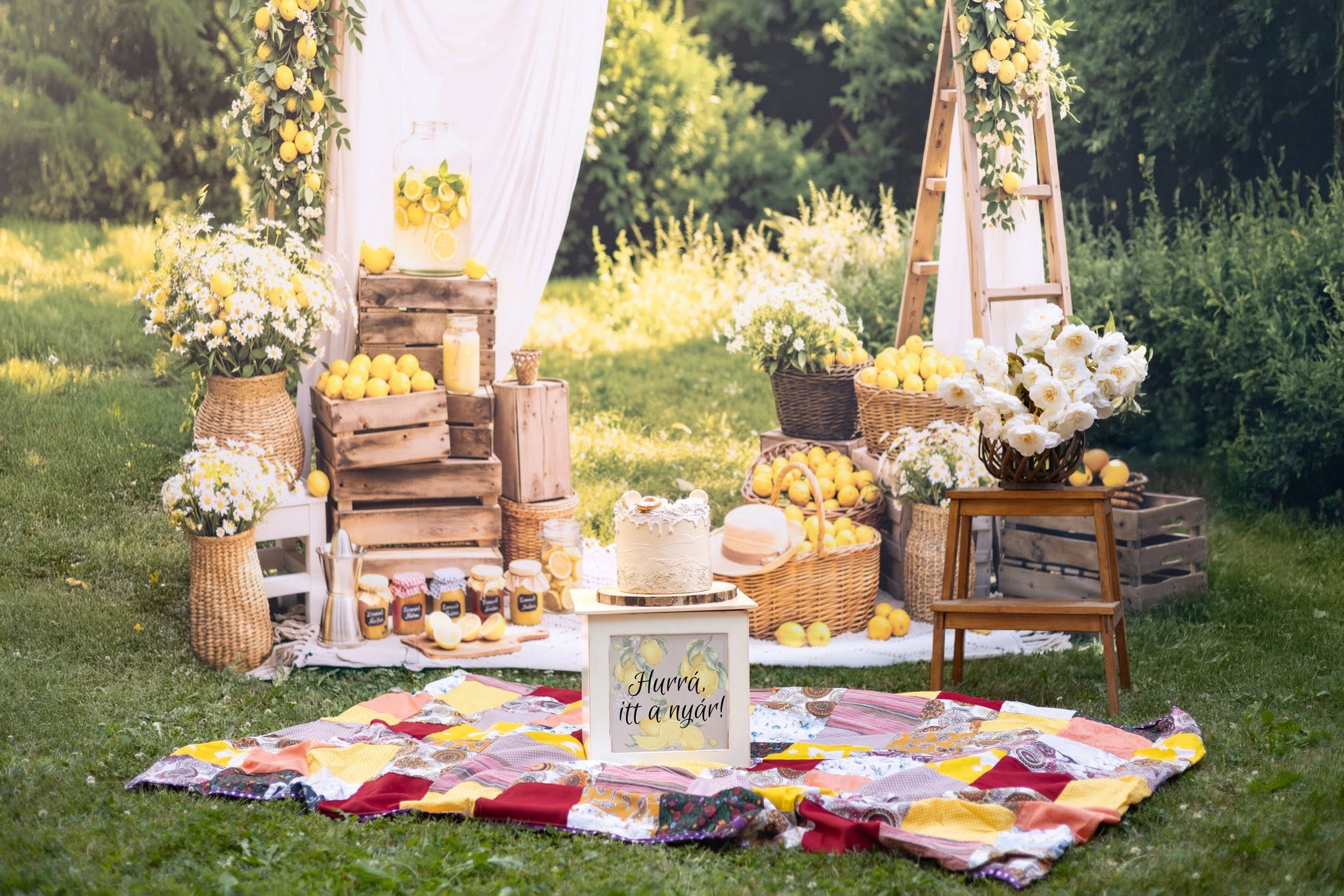 Kate Summer Lemon Arch Picnic Scene Backdrop Designed by Emetselch - Image 6