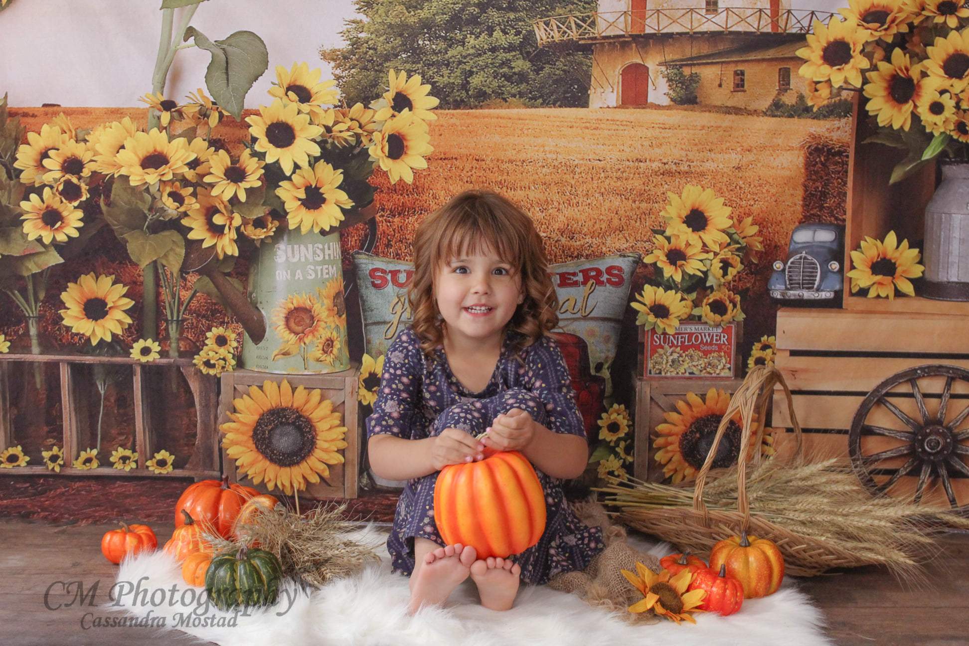 Kate Summer Sunflower Autumn Farm Field Backdrop