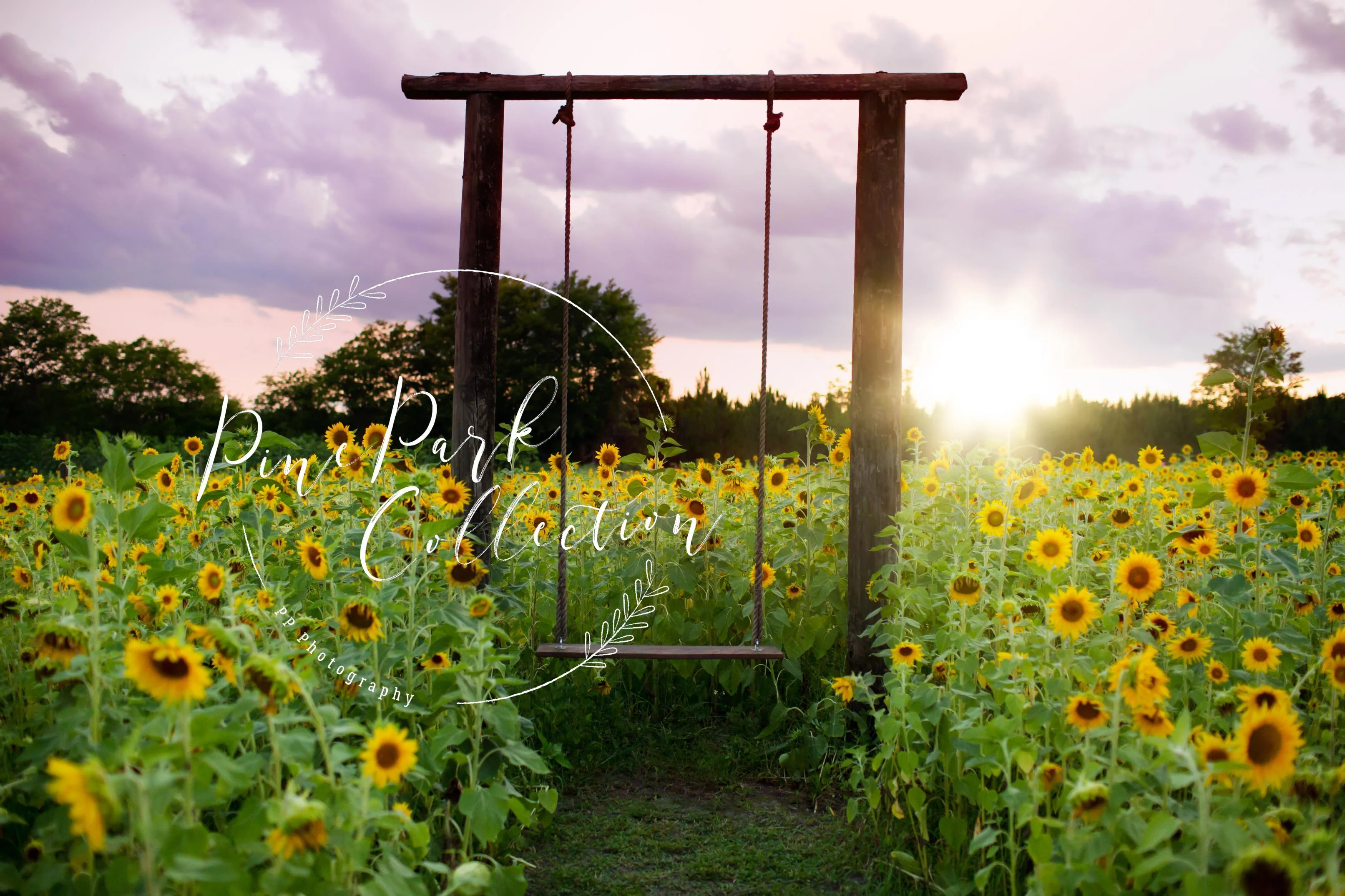 Kate Summer Sunflower Swing Backdrop Designed by Pine Park Collection - Image 2