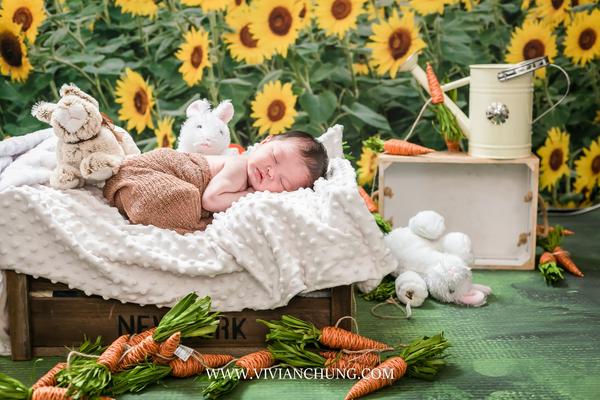 Kate Sunflower Field Backdrop for Summer Photography