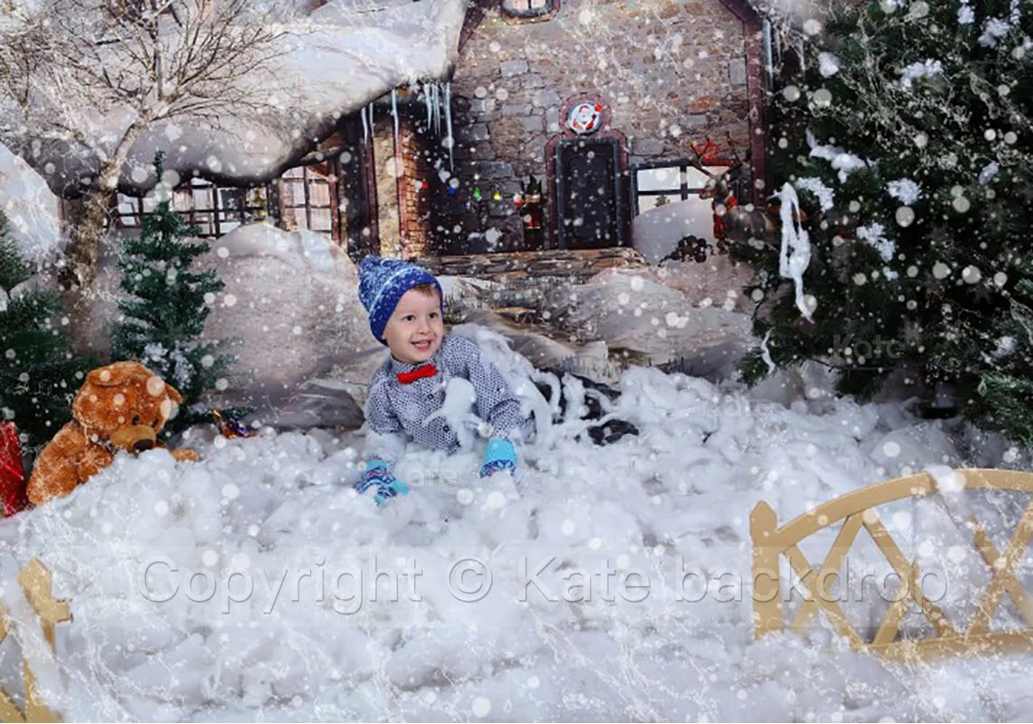 Kate Winter Fairy Tale House Backdrops for Merry Christmas Photography