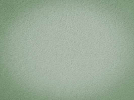 Kate Vintage Green Textured Wall Backdrop For Studio Photography