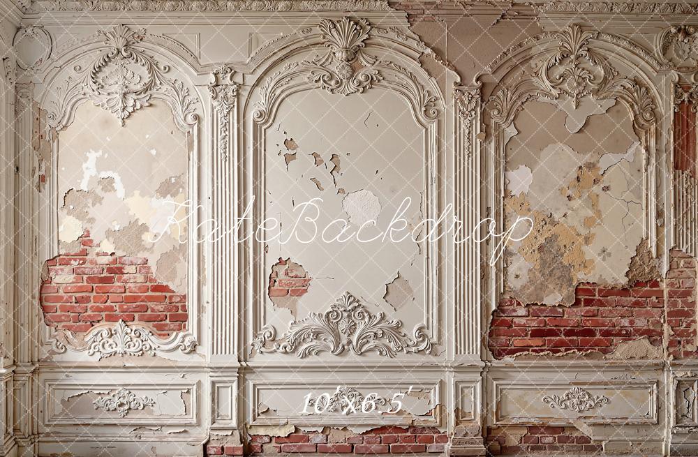 Kate Vintage Wall Ornate Moulding Brick Fleece Backdrop Designed by Emetselch - Image 2