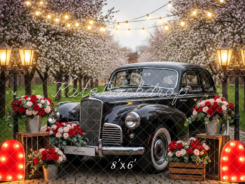 Kate Wedding Vintage Car Heart Lights Roses Fleece Backdrop Designed by Patty Robert