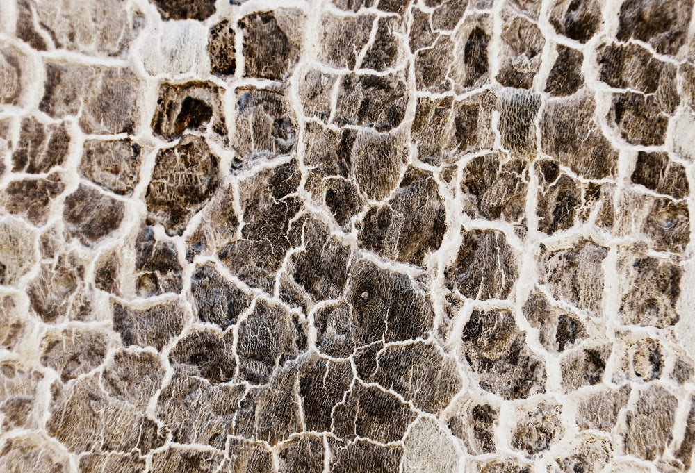Kate Winter Christmas Snowy Stone Floor Backdrop for Photography - Image 3