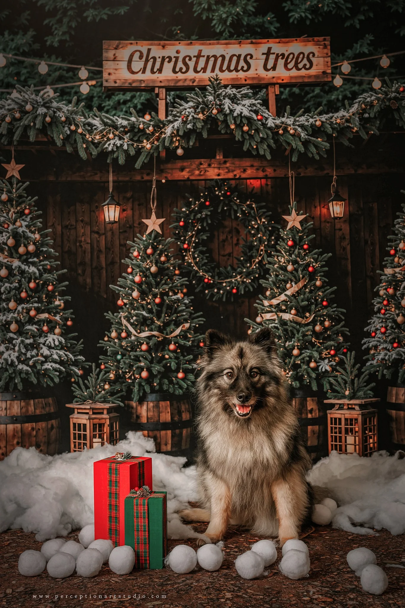 Kate Winter Dark Green Christmas Tree Forest Backdrop Designed by Emetselch