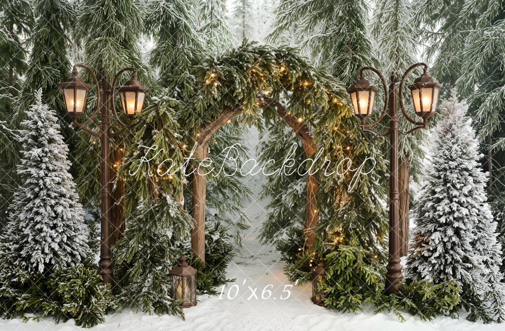 Kate Winter Forest Arch Snowy Trees Fleece Backdrop Designed by Emetselch - Image 2