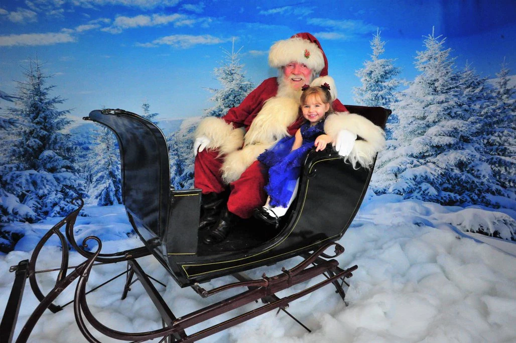 Kate Winter Frozen Forest Backdrops For Photography