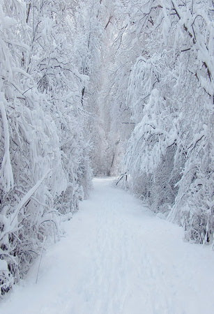Kate Winter Snowy Scenery Road Backdrop for Photography