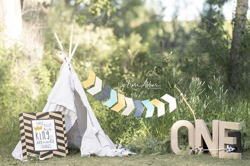 Kate Outdoor Tent One Birthday Backdrop Designed By Rose Abbas
