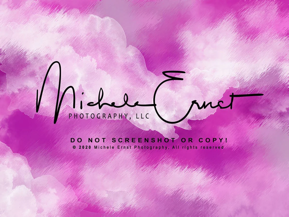 Kate Pink Abstract Backdrop Designed By Michele Ernst Photography