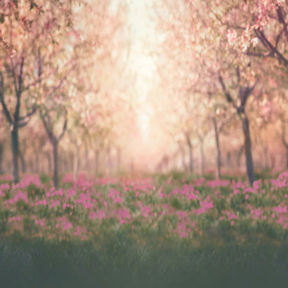 Kate Spring Cherry Blossoms Orchard Backdrop for Photography Designed by Lisa Granden - Image 7