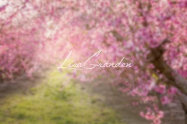 Kate Spring Pink Flowers Backdrop for Photography Designed by Lisa Granden - Image 2