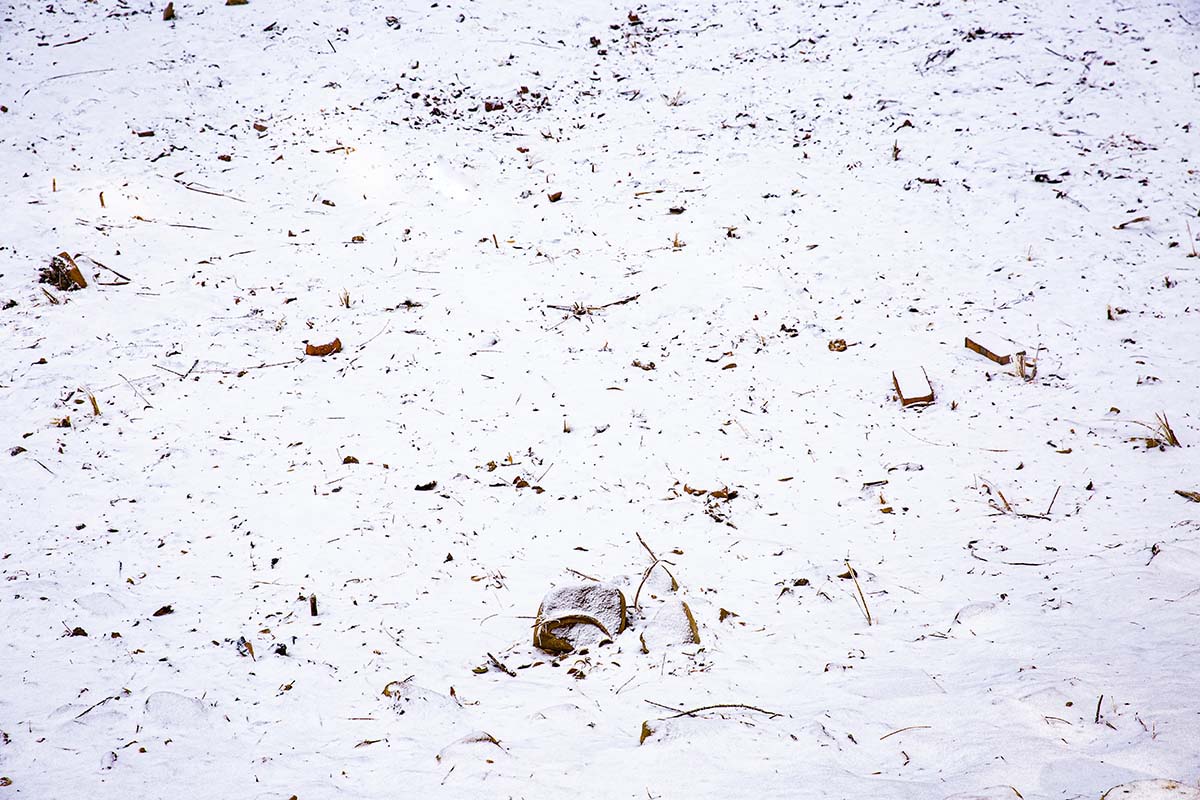 Kate Winter Snowfield Backdrop Designed by Emetselch - Image 4