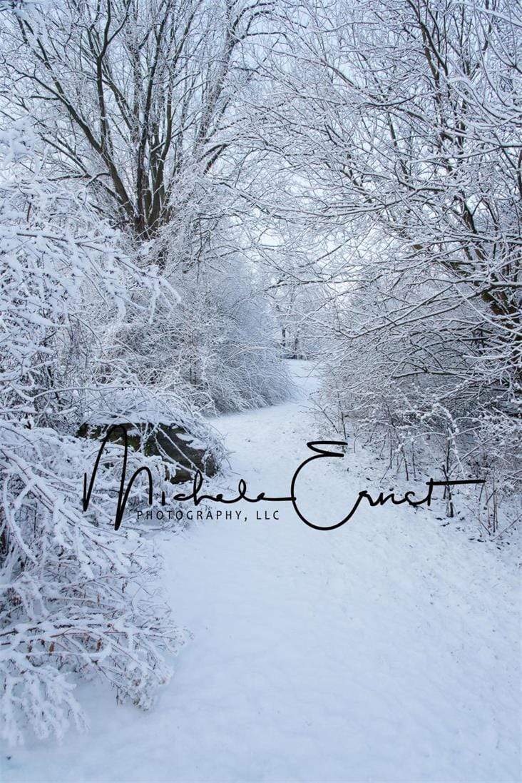 Kate Woodland Winter Snow Backdrop Designed by Michele Ernst Photography